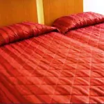 Howard Paris Orly Airport 4*