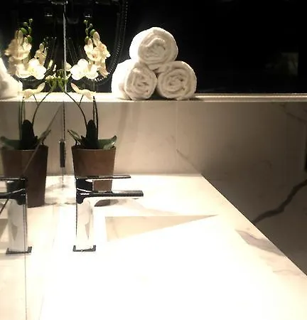 巴黎奥利机场霍华德酒店 4*