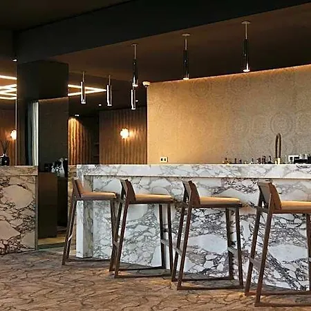 巴黎奥利机场霍华德酒店 酒店 4*