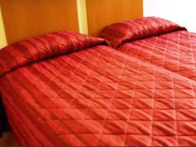 Howard Paris Orly Airport 4*